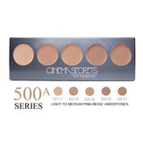 Cinema Secrets Ultimate Foundation 5-in-1 Pro Palette - 500A Series