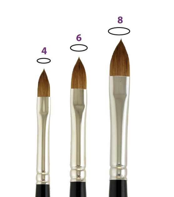 Classic Oval Filbert Size 4