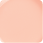 04 Carnation