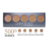 Cinema Secrets Ultimate Foundation 5-in-1 Pro Palette - 500B Series