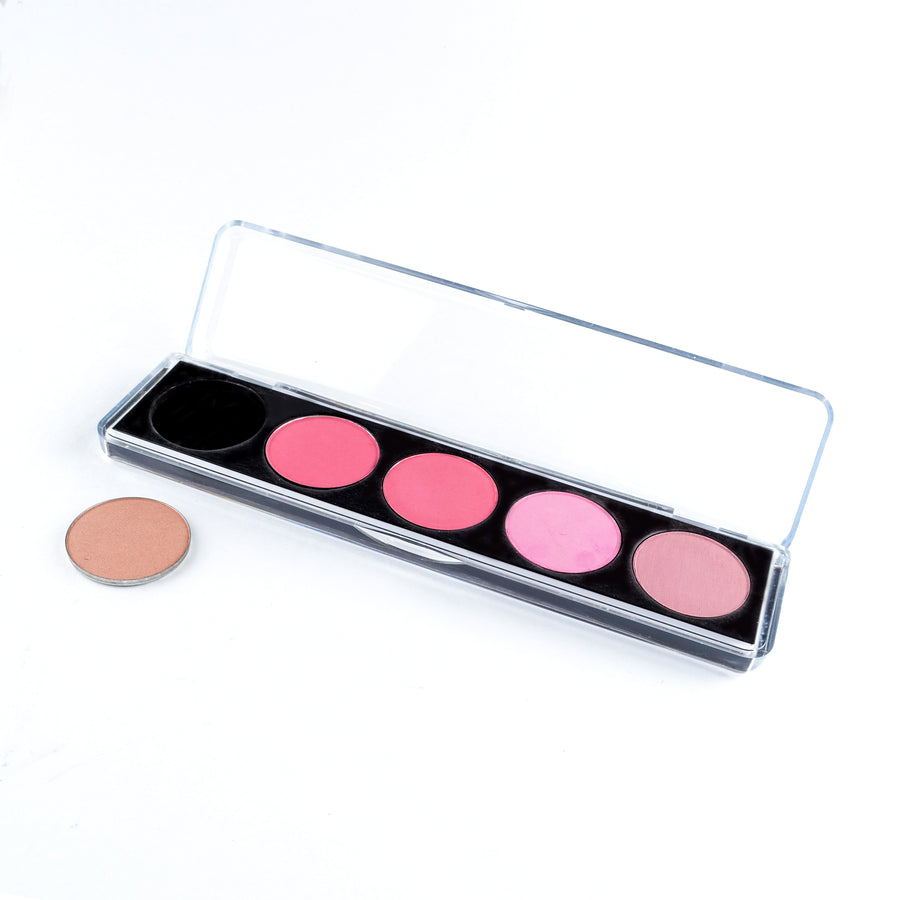 Professional 5 Pan Empty Palette Clear Box