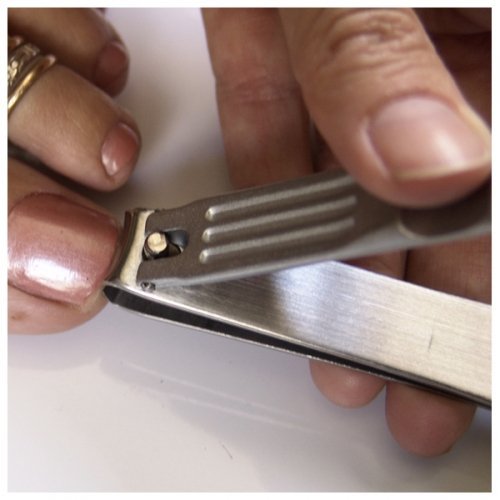 Seki Edge SS-107 Stainless Steel Toenail Clipper