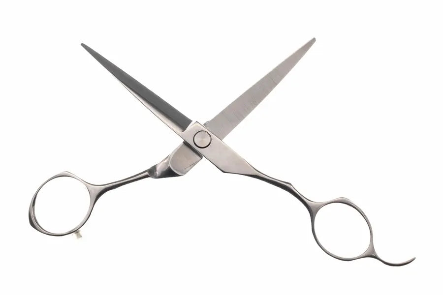 Seki Edge SS-703 Stainless Steel Haircutting Scissors